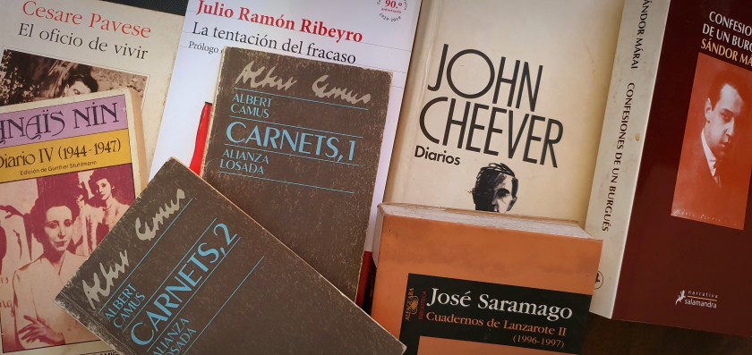 Book covers of different literary diaries.